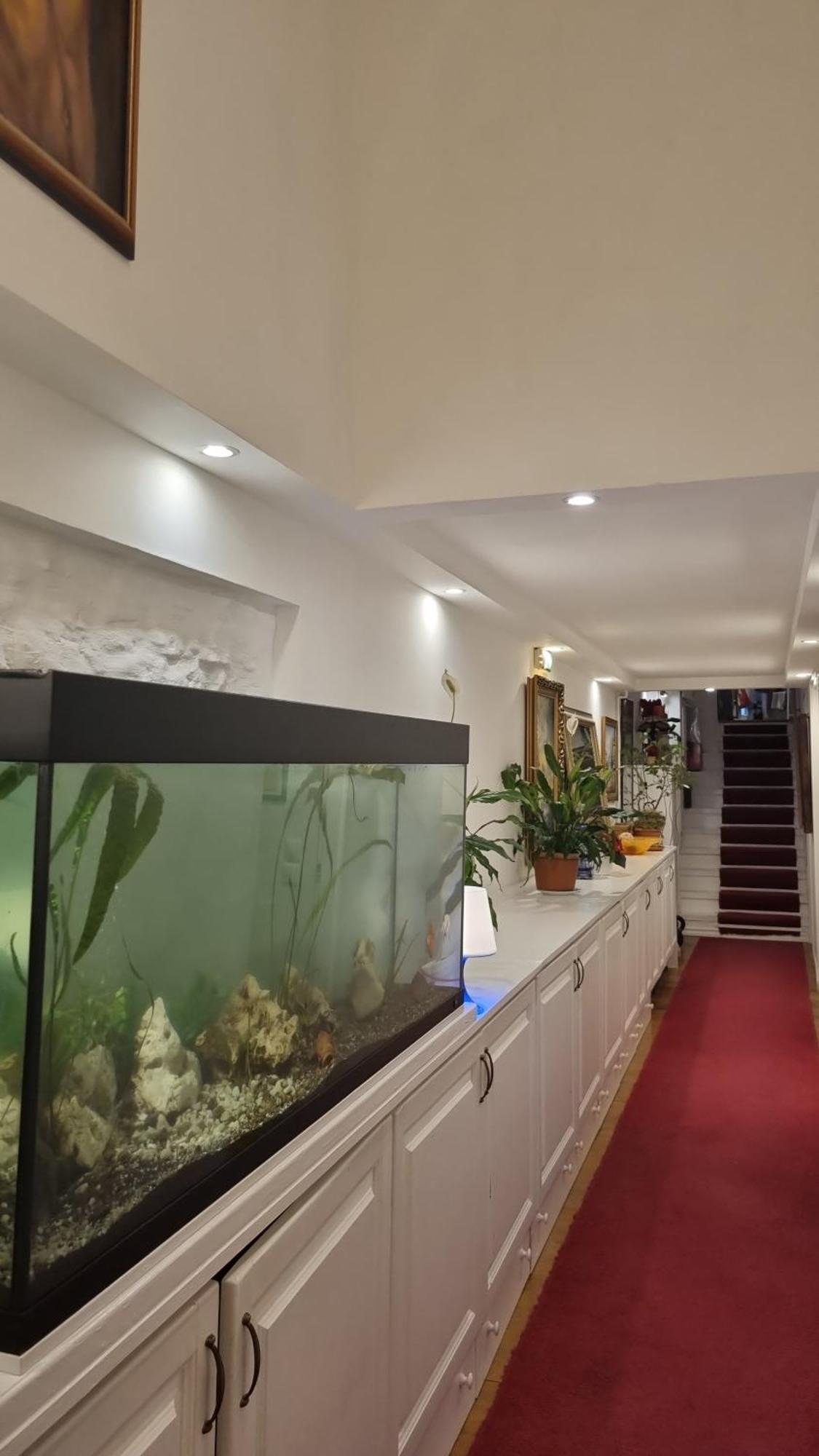 Connection Guesthouse Budapest Extérieur photo